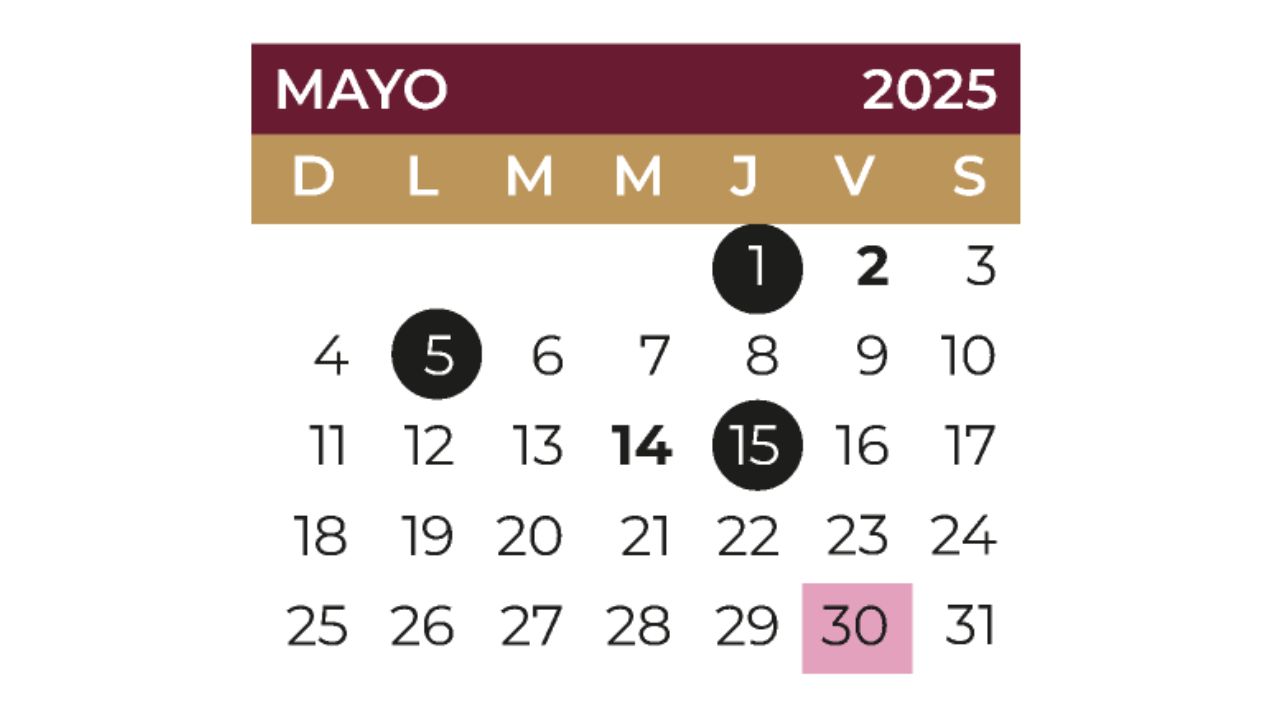 Descubre si este viernes 9 de mayo habrá clases en las escuelas de educación básica con motivo de la celebración del día de las Madres. 