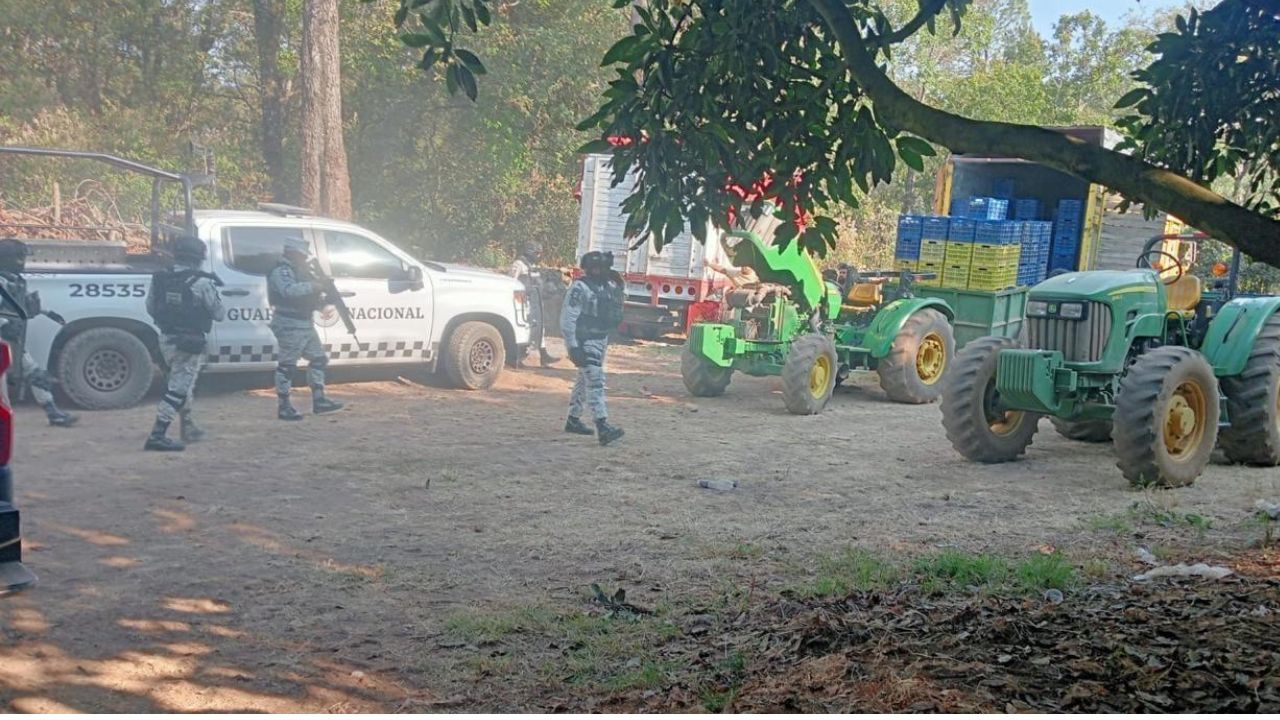Elementos de Defensa y la SSP detuvieron a 14 personas presuntamente implicadas en el robo de 160 cajas de aguacate en Zirahuén, Michoacán.