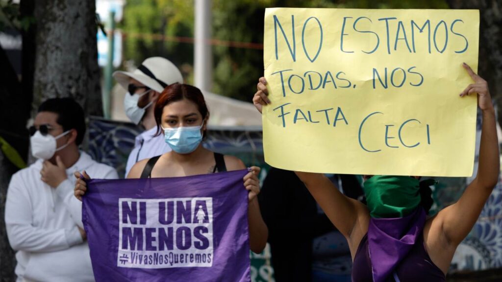 Helena Monzón, hermana de Cecilia Monzón, detalló que la pena de seis años se considera como un "umbral de éxito".