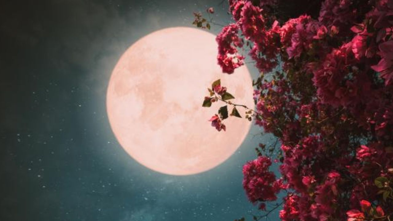 La Luna de Flores se llama así debido a que los pueblos nativos de EU bían que mayo es la época en que brotan las flores de todos lados, inicia un periodo de cosecha y despierta la ‘vida’ en la naturaleza. 