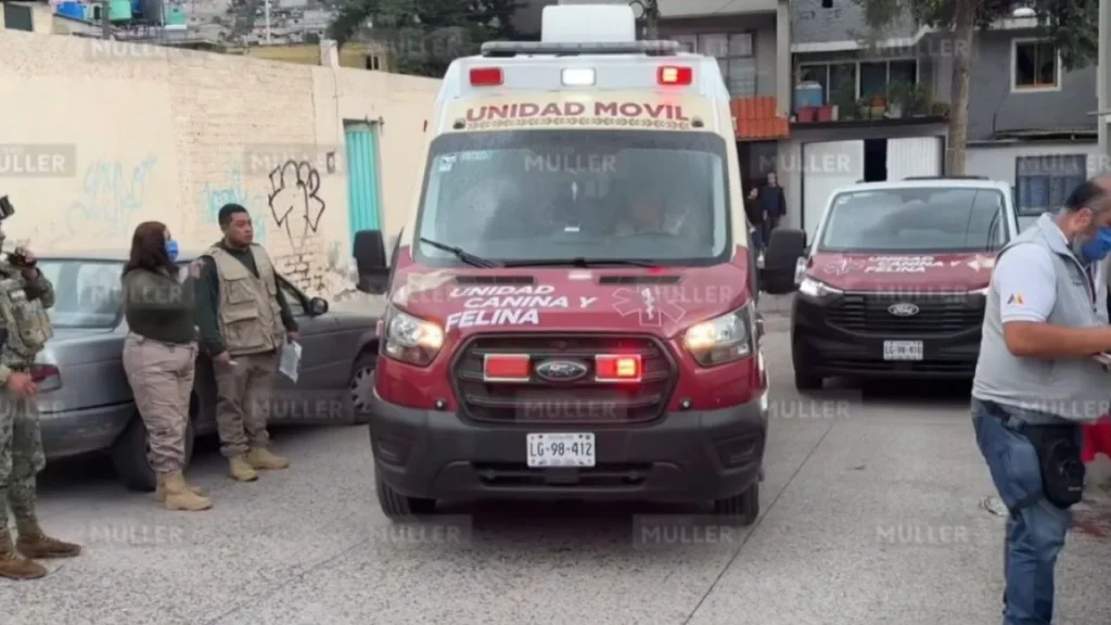 Rescatan a más de 20 animales en situación de maltrato en Ecatepec