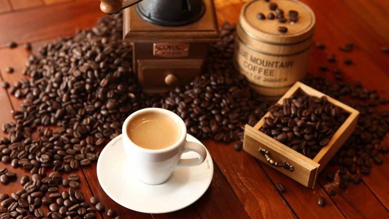 El café proviene del cafeto, un género de árboles de la familia de lasrubiáceas