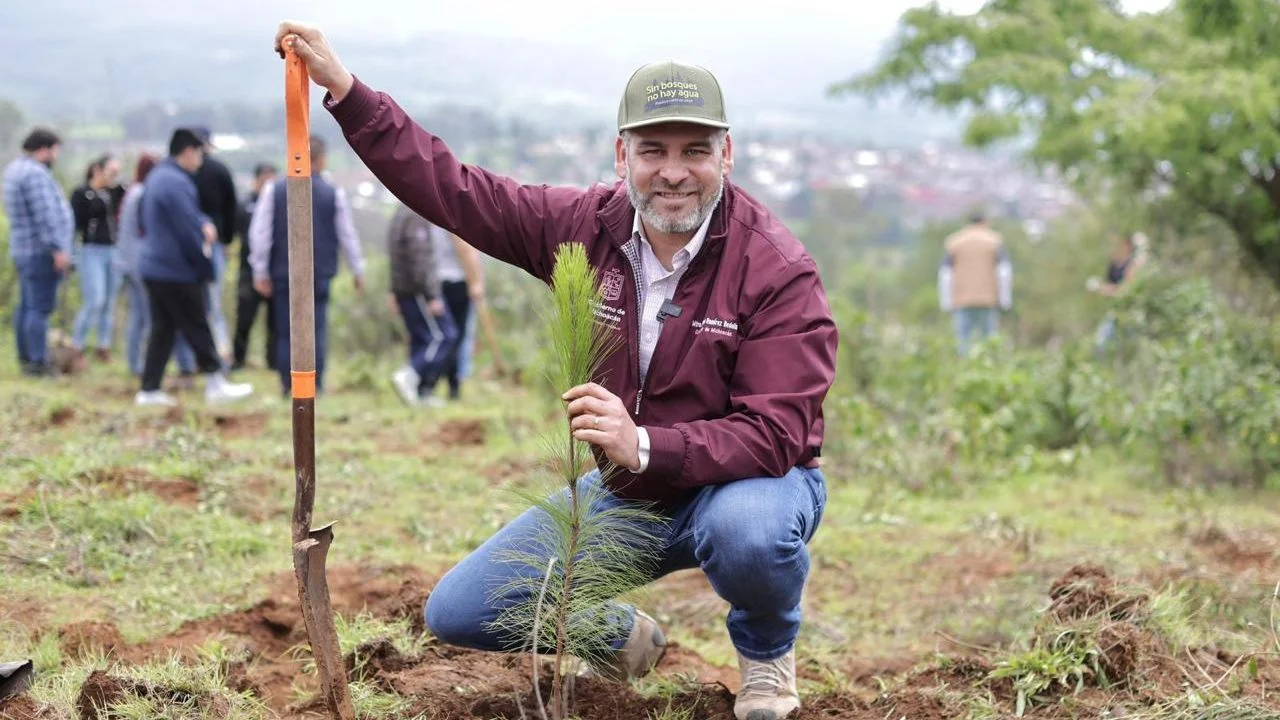 El año pasado el Gobierno de Michoacán plantó 1.5 millones de árboles para reforestar la cuenca del lago de Pátzcuaro