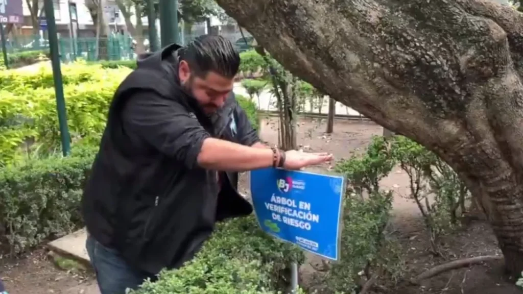 Inicia verificación de árboles en riesgo en parque públicos de la Benito Juárez 