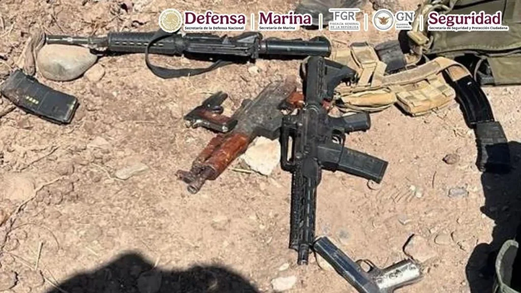 A los miembros de "La Mayiza" les aseguraron armas largas y cortas.