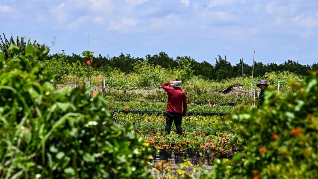 Agricultores y hoteleros exigen retener trabajadores extranjeros, lo que obliga al magnate a considerar permisos