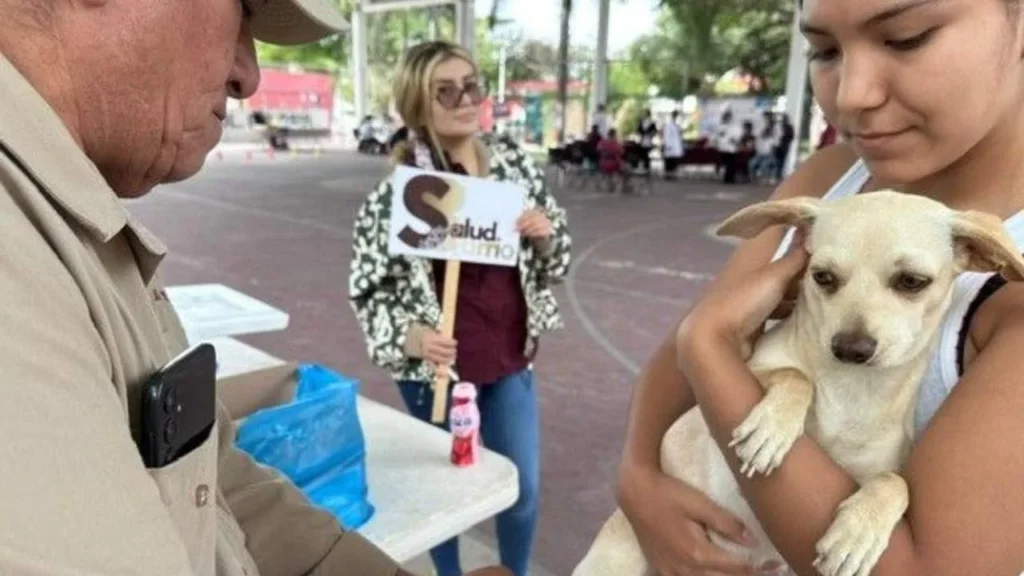 Foto: Gobierno de SLP | La Secretaría de Salud del estado mantiene jornadas intensivas de vacunación canina y felina.