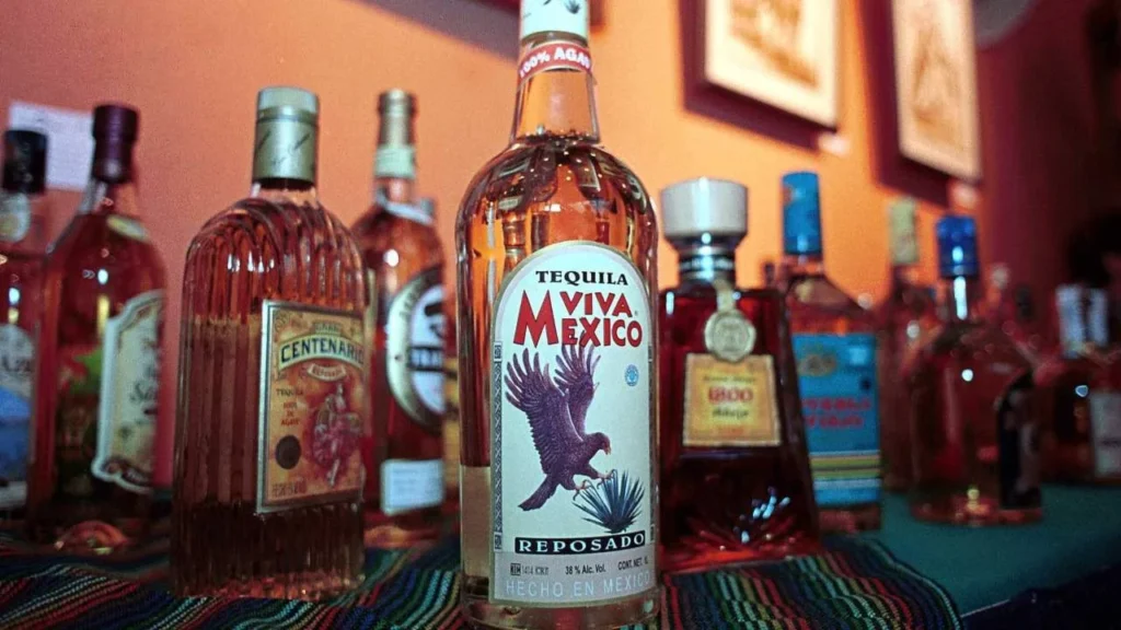 Para celebrar el Día Internacional del Tequila 2025 te diremos cuántos tipos de tequilas existen.