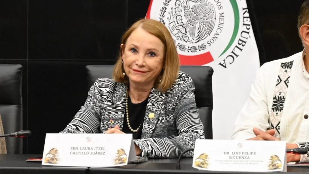 La morenista Laura Itzel Castillo dijo que aún no define si buscará el cargo para presidir el Senado, aunque aseguró sería un honor para ella.
