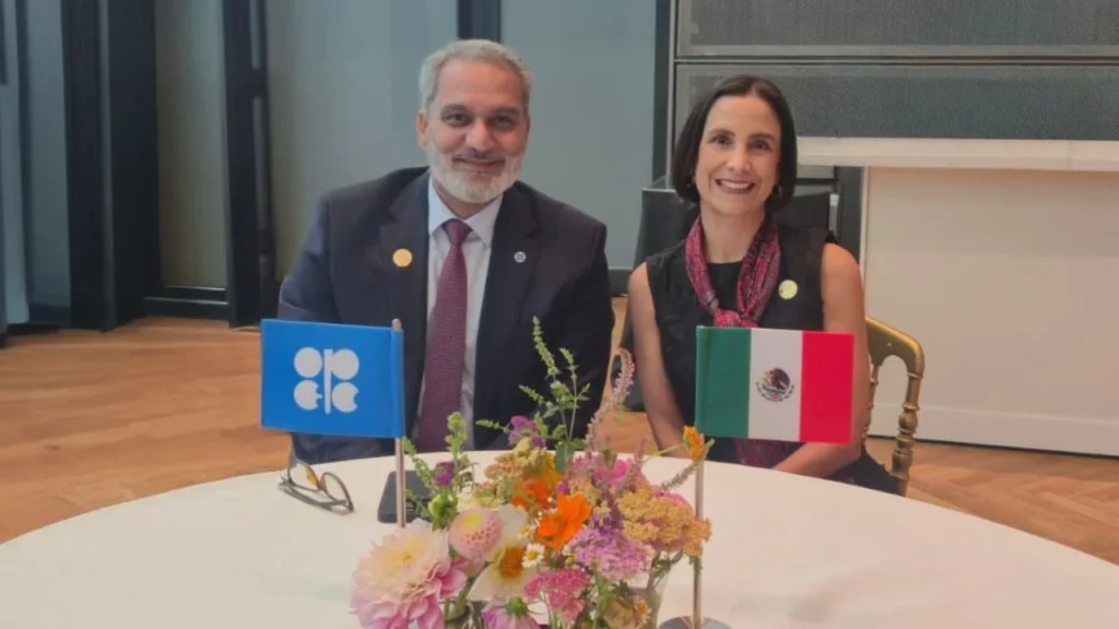 Luz Elena González resalta estrategia de México en el sector energético en OPEP.
