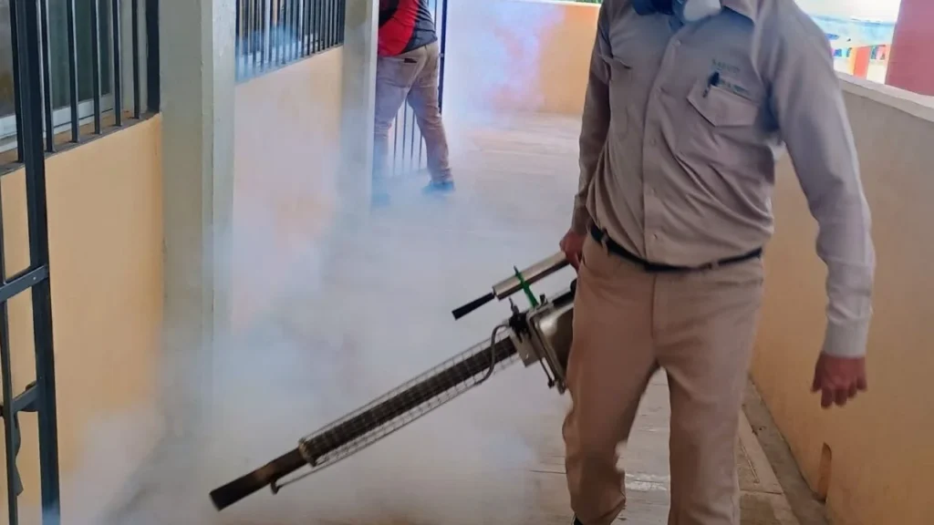 En Campeche, las acciones contra el dengue son permanentes con vigilancia entomológica, control larvario y eliminación del mosquito.