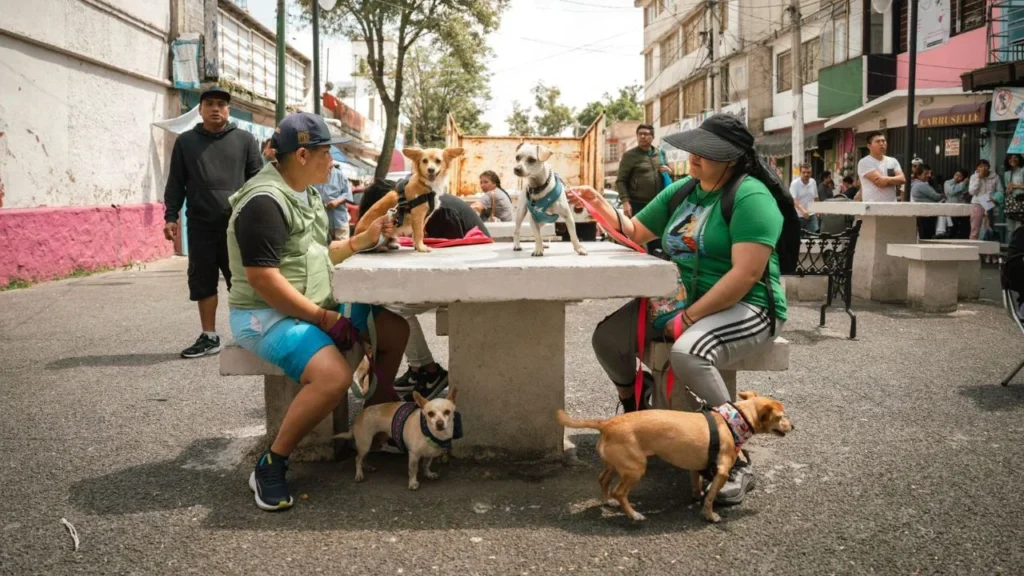 La alcaldía Tlalpan presentó el programa “Animales Comunitarios”, cuyo objetivo es brindar protección animal.