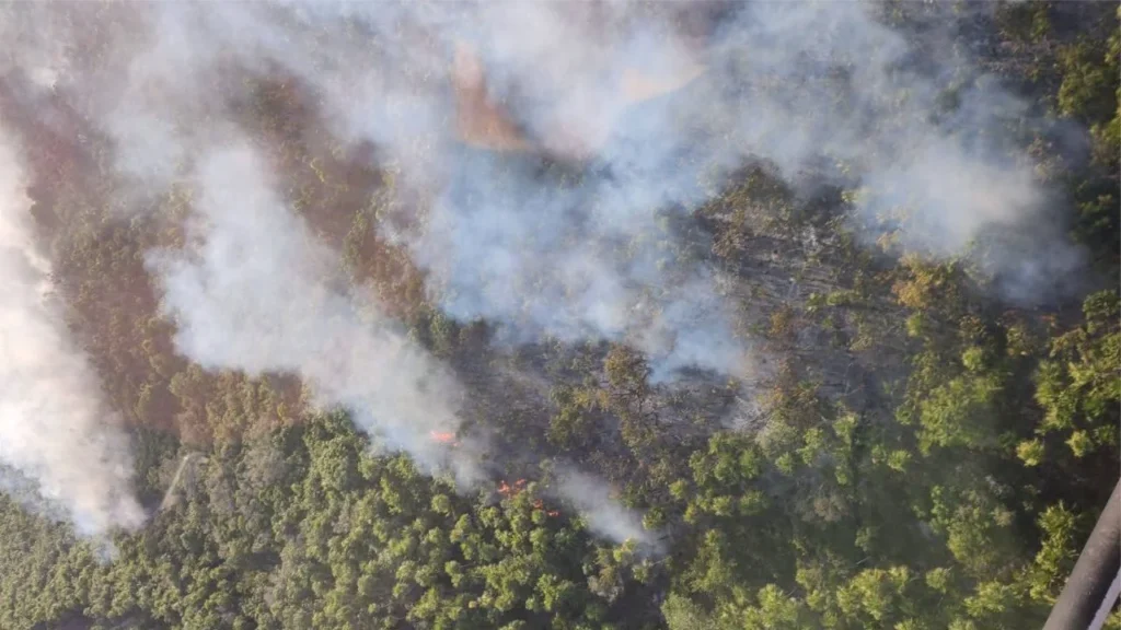 SINIESTRO. El presidente municipal, Josué Nivardo Mena, expresó su preocupación por los daños tras incendio en Holbox, a especies nativas de flora y fauna, y aseguró que se reforzaron las labores de combate.