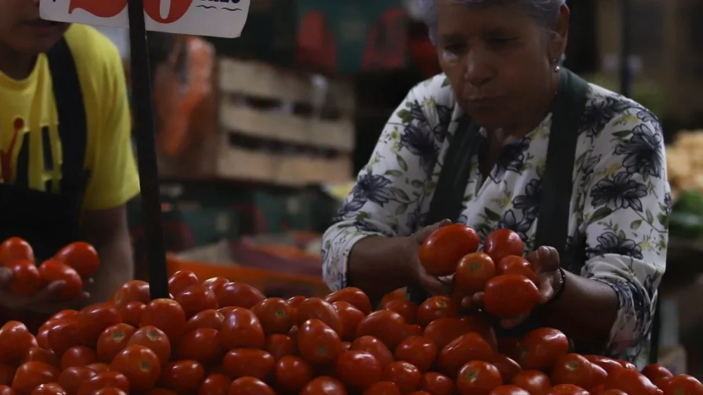$23 pesos es el precio promedio del tomate rojo mexicano en estos momentos