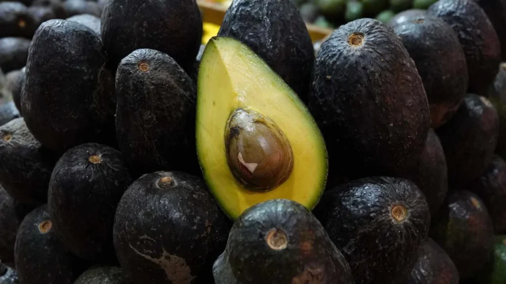 El aguacate tiene origen en México y tiene diversas variedades.