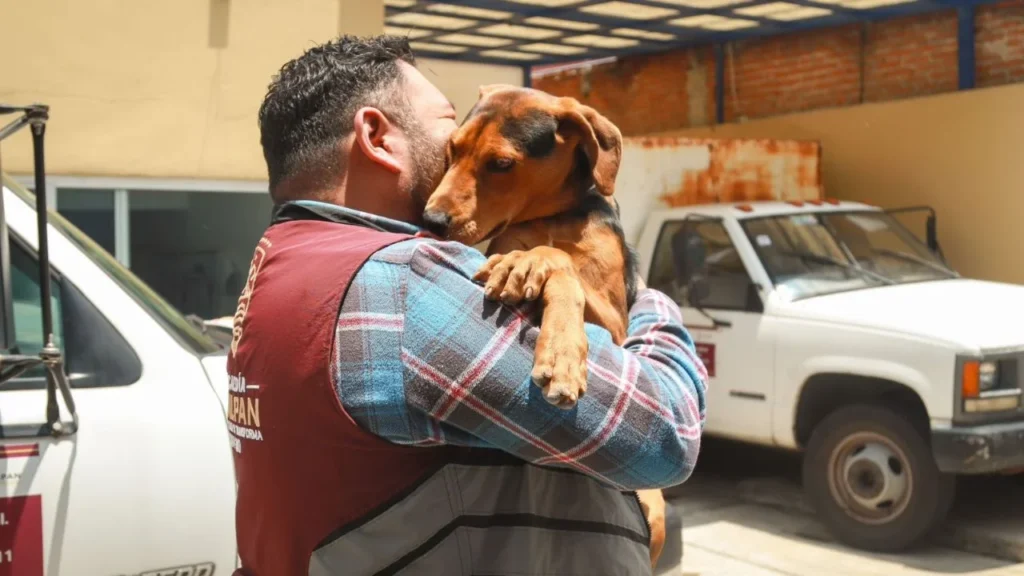 La Alcaldía Tlalpan otorga más de 23 mil atenciones veterinarias.