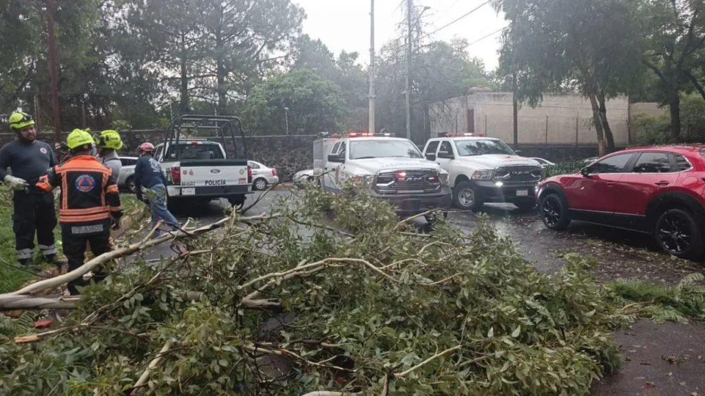 La caída de lluvia y granizo en alcaldías al sur de la CDMX dejaron encharcamientos y coladeras tapadas que ya atienden autoridades.