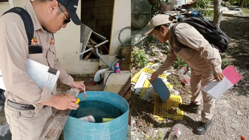 A través del control larvario en Campeche, se evita la presencia zancudo transmisor desde los hogares.