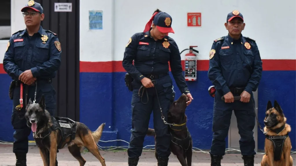 Las detenciones de la PBI por robo de mercancía tuvieron lugar en tiendas departamentales, de autoservicio, supermercados y clubes de almacén.