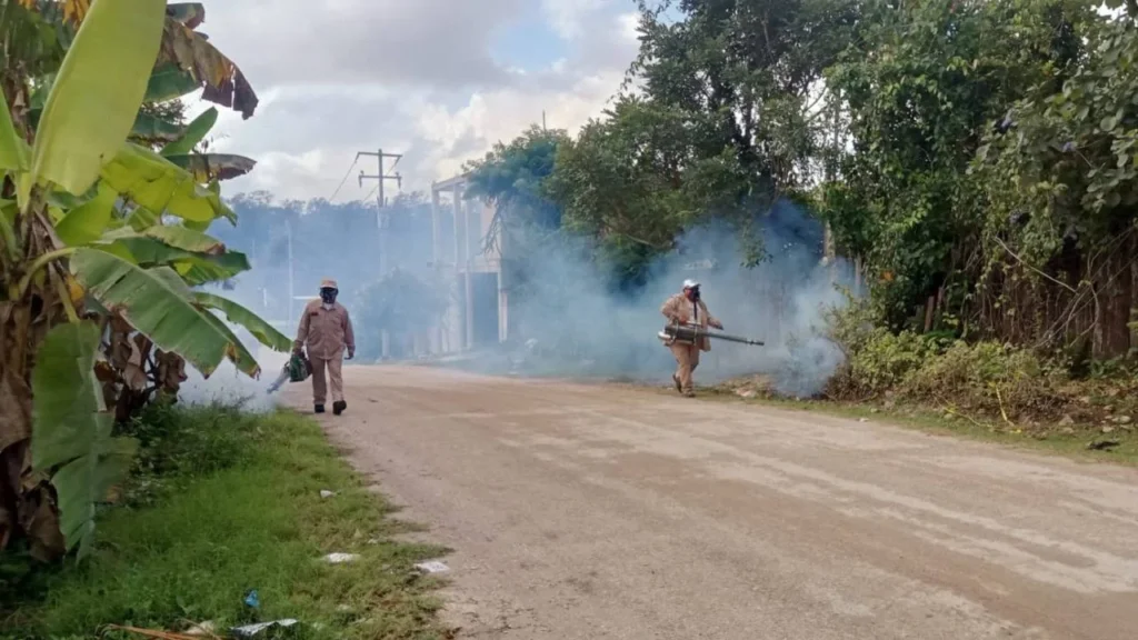 Refuerzan nebulización en 147 localidades de Campeche para combatir el mosco transmisor del dengue.