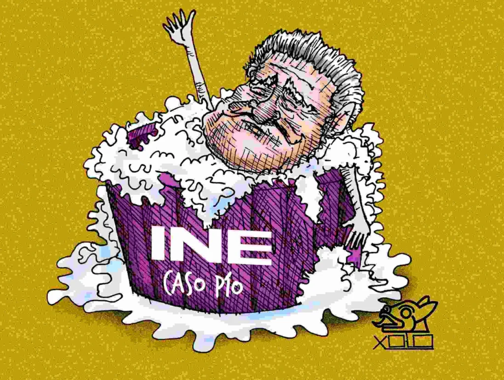 Cartón de Xolo