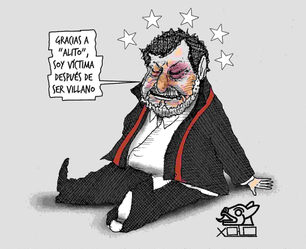 Xolo Cartón |