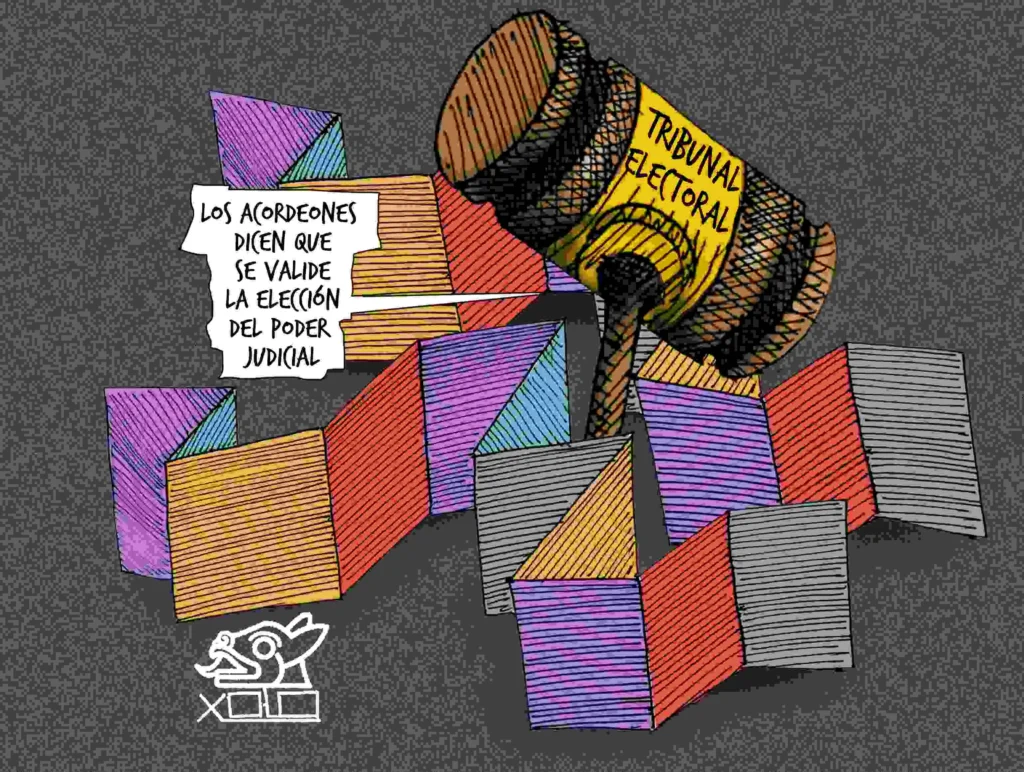 Fallo esperado - Xolo Cartón