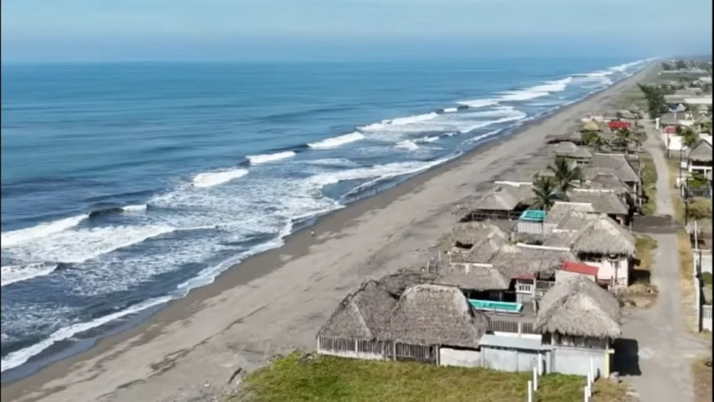 Voluntarios de Emiliano Zapata tienen 15 años resguardando los nidos de tortugas marinas