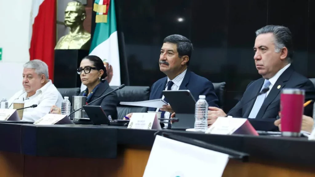 Javier Corral señaló que se privilegió una amplia discusión, con el propósito de incorporar a todas las visiones sobre esta figura jurídica.