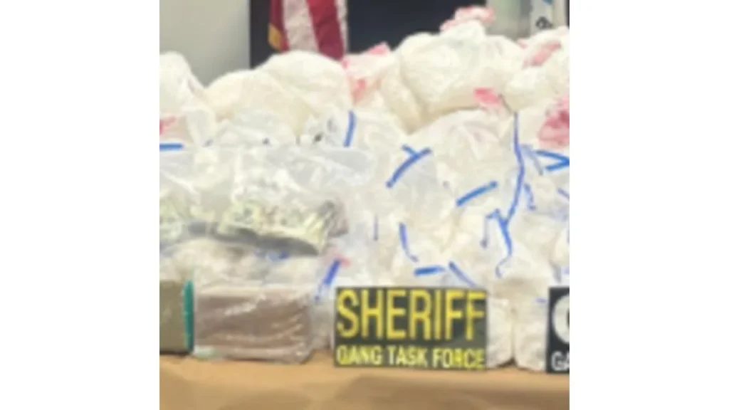 La DEA informó que la droga incautada en Estados Unidos a varias pandillas provenía del CJNG para su distribución.