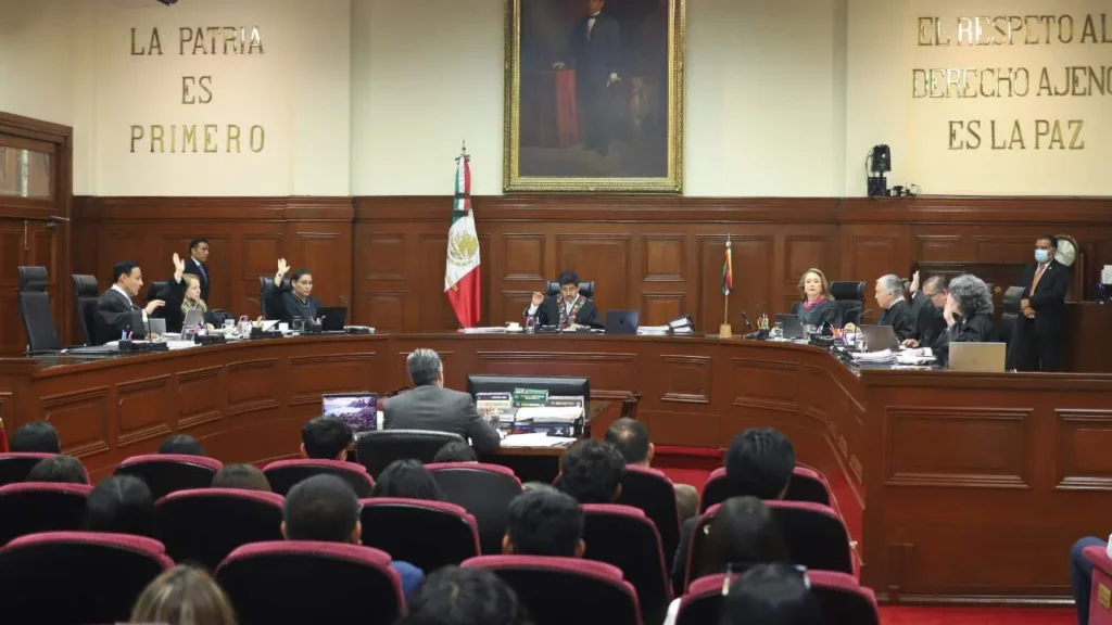 El Pleno determinó que la discapacidad no es una característica individual de la persona.
