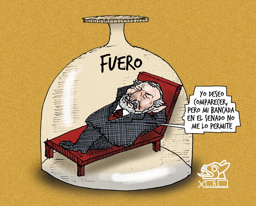 Xolo Cartón | Cómodo