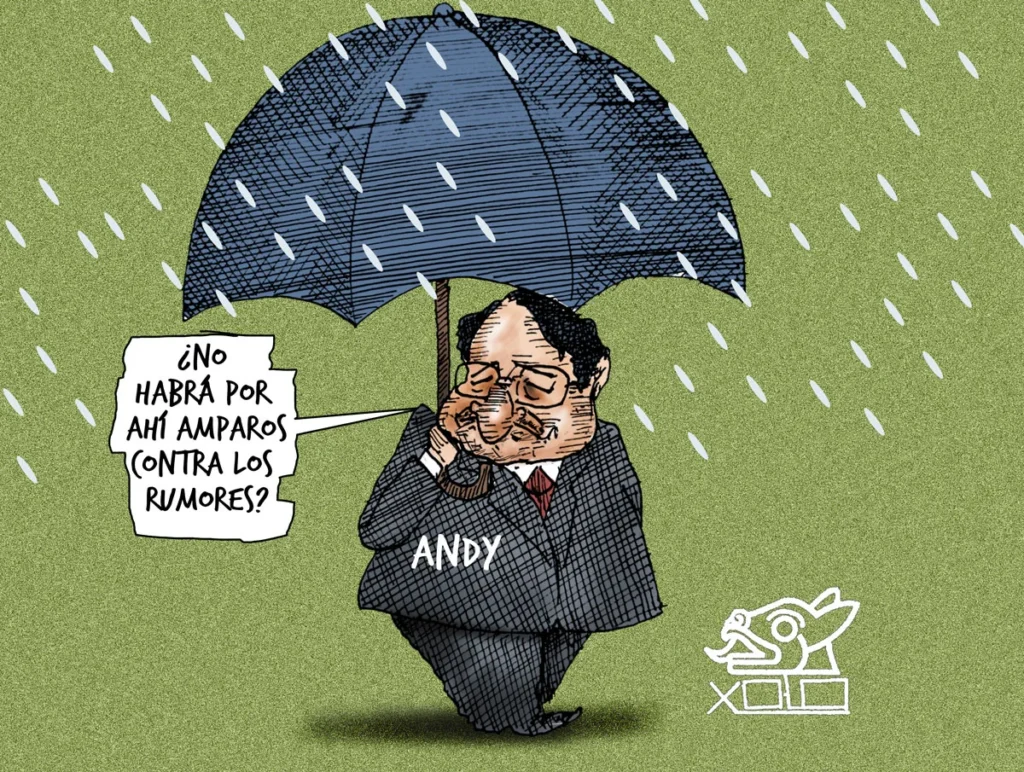 Xolo Cartón | Tormentoso