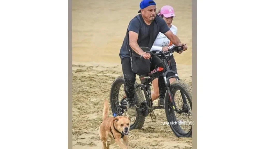 Chicles, fue un perrito rescatado de la calle por Héctor “El Flecha” Hernández