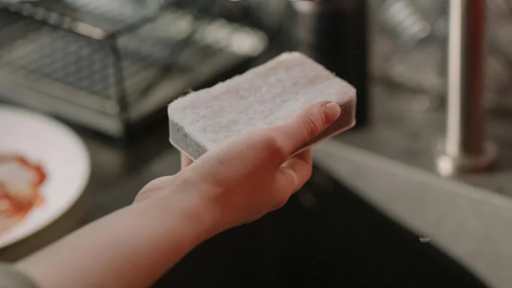 Cuidado: Estas esponjas para trastes favorecen crecimiento de bacterias.