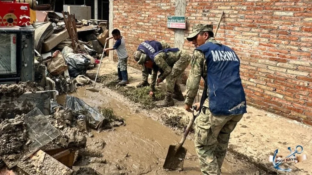 En Poza Rica se tiene un avance de 32 por ciento en el retiro de escombro y limpieza, de las más de 5 mil viviendas afectadas.