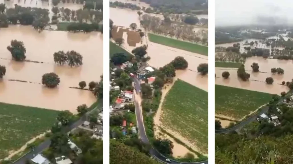 Las intensas lluvias han dejado afectaciones en los cultivos hidalguenses.