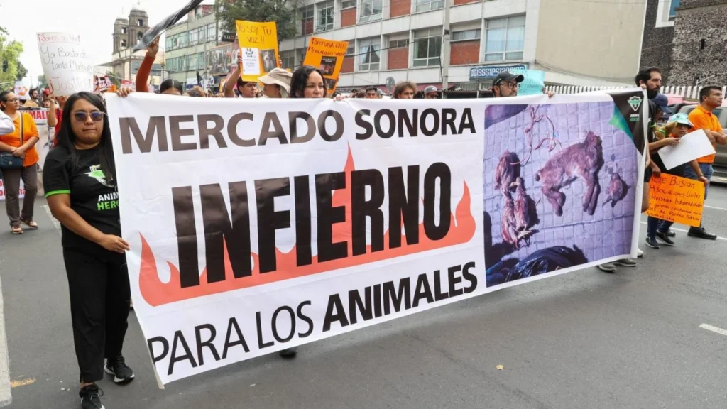 Integrantes de varias organizaciones han realizado manifestaciones y plantones para pedir el cierre del Mercado de Sonora, en la alcaldía Venustiano Carranza.