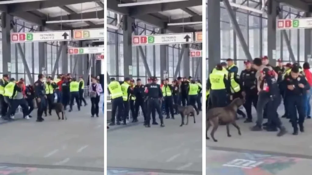  Elementos de la SSC durante la detención de los presuntos agresores.