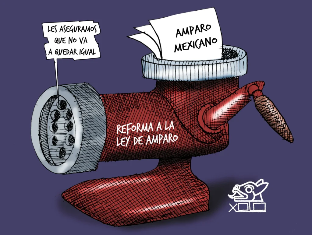 Xolo Carton: Cambio radical