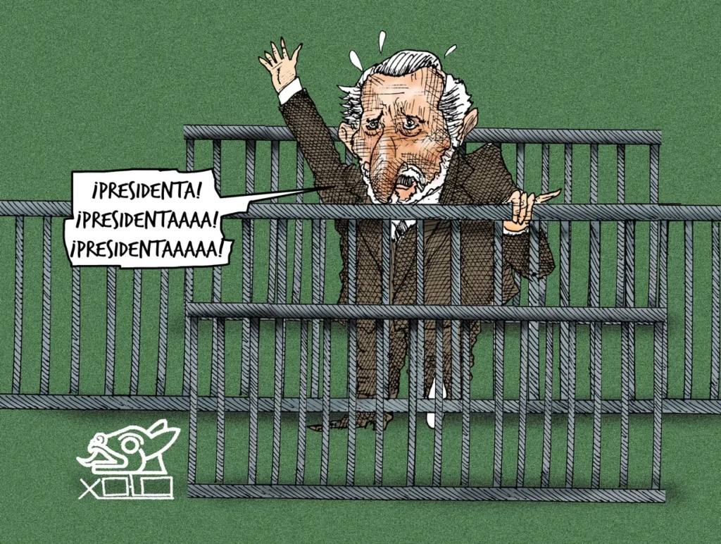 Xolo Carton | Cercado