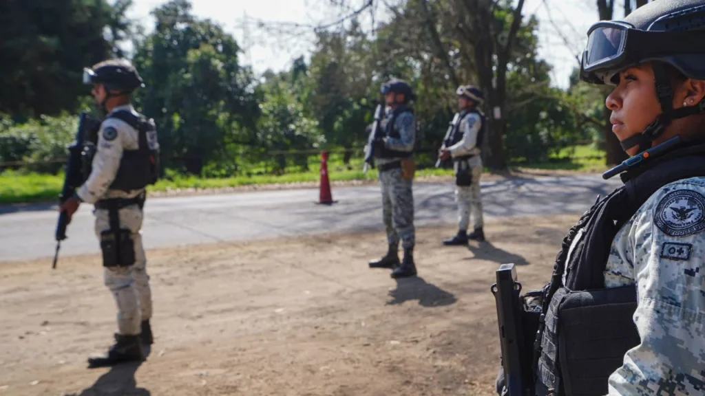 En las inmediaciones de la localidad de La Alberca, en el municipio de Apatzingán, elementos de la GN y en coordinación con personal del Ejército Mexicano y la Guardia Civil lograron la detención de dos personas.