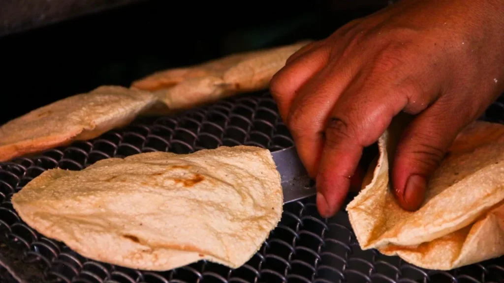 Conoce las principales diferencias entre las tortillas elaboradas en los supermercados y en las tortillerías tradicionales y elige mejor.