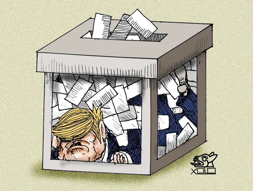 Xolo Carton | Resultado electoral
