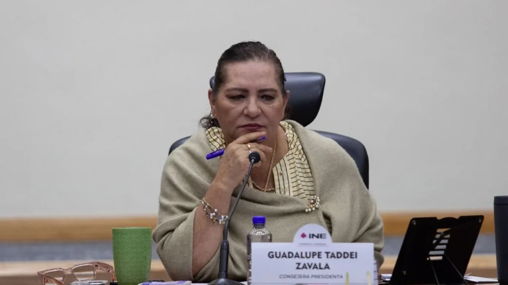 Guadalupe Taddei asevera que el sistema electoral si funciona