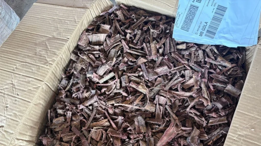 La Secretaría de Marina incautó en el puerto de Veracruz un cargamento con 96 kilogramos de presunta N, N-dimetiltriptamina (DMT).