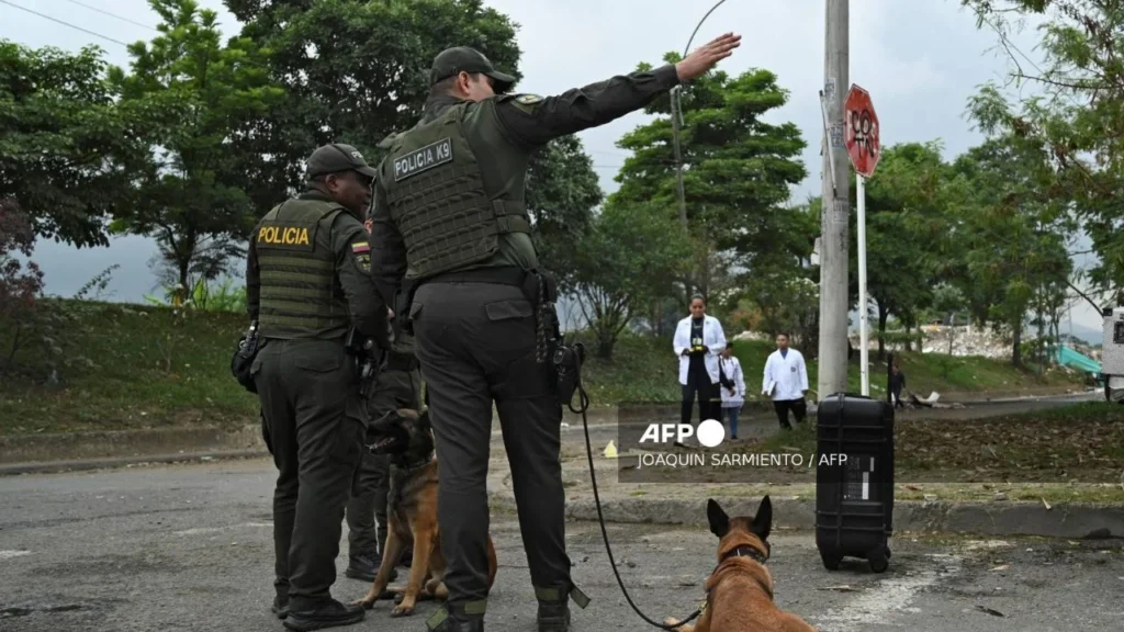 A causa de las fiestas decembrinas, la guerrilla del ELN garantizó una tregua de sus ataques dentro de Colombia.
