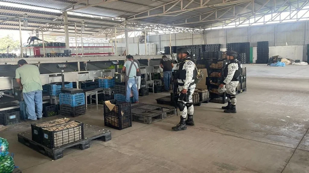 A 42 días de su implementación, el Plan Michoacán reporta una suma de 241 personas y la incautación de 764 kilos de metanfetamina.
