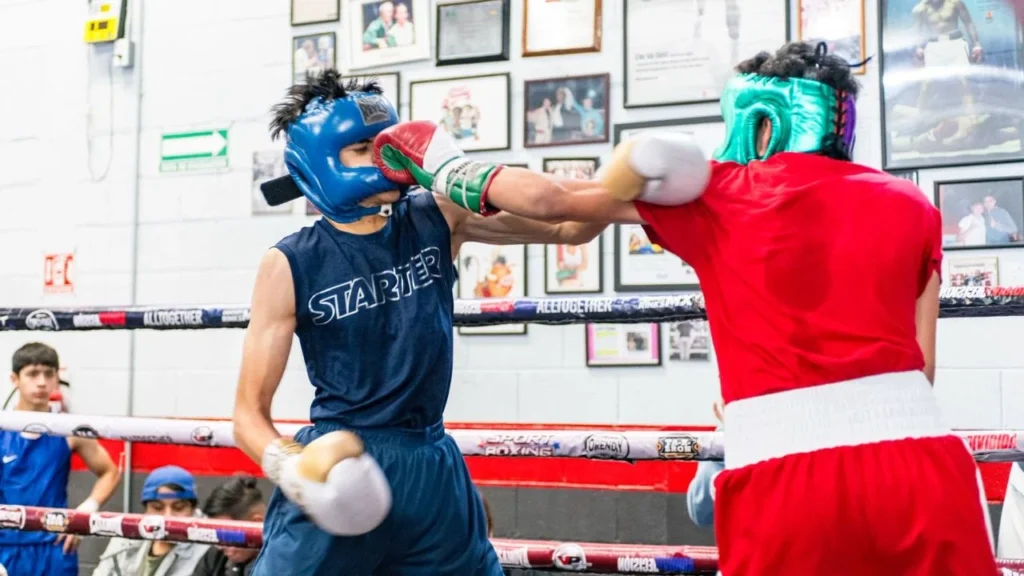 Este fin, se celebrará la edición 16 del Torneo Sport Boxing, el cual ha visto nacer a un dos subcampeones y un campeón de Guantes de oro.