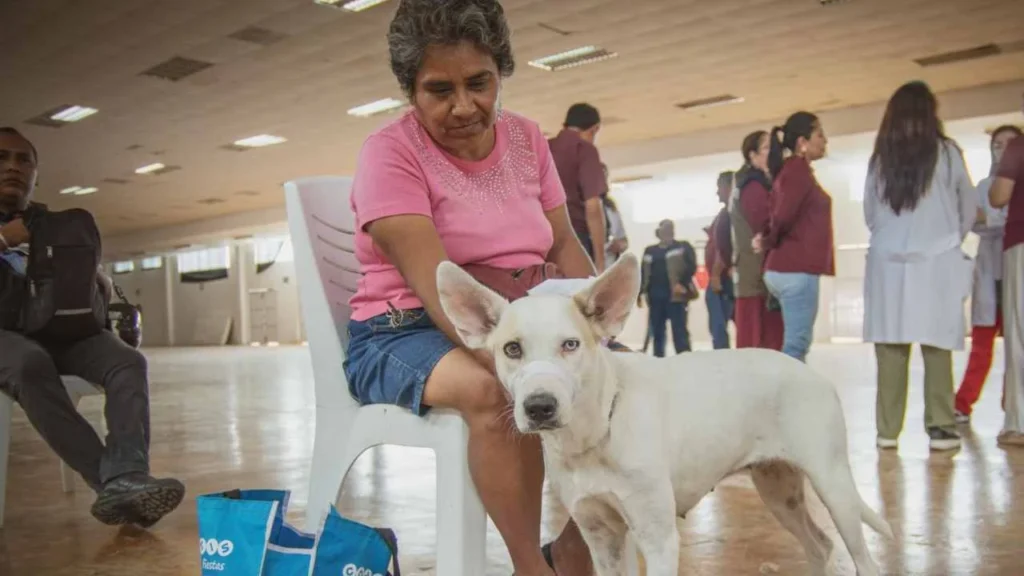 Continúa la jornada de vacunación contra la rabia en perros y gatos.